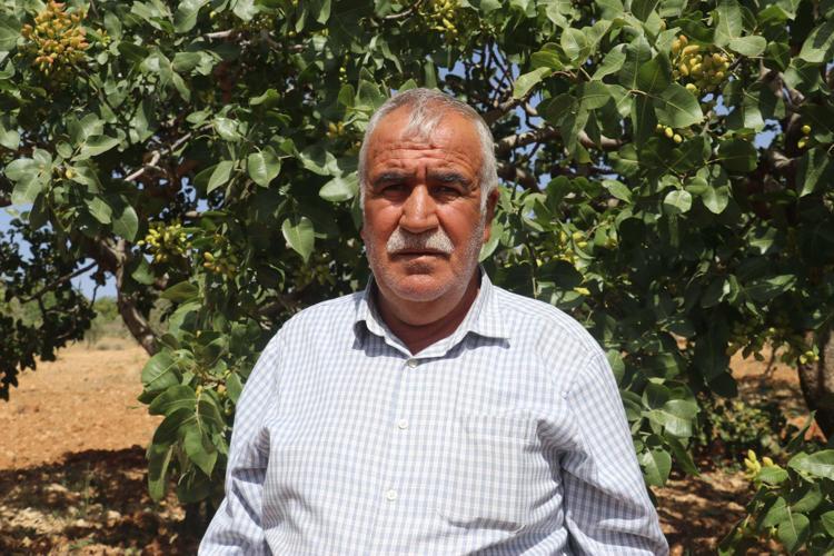 YÜKSEK REKOLTE BEKLENTİSİ