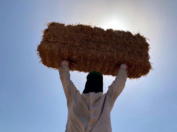 EN ÇOK SICAK NEDENİYLE ZORLANIYORUZ