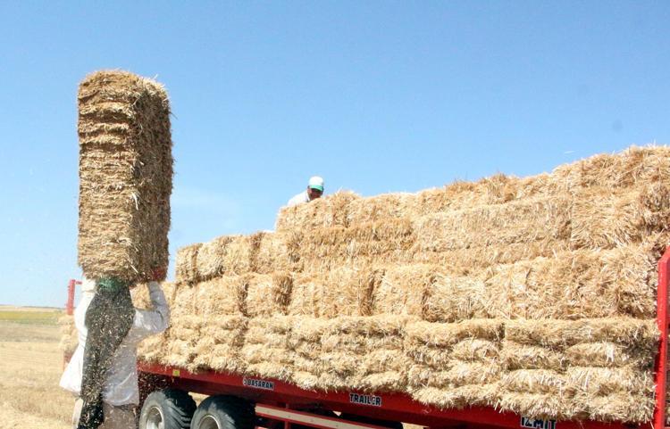 ALIN TERİ OLMADAN PARANIN KIYMETİ OLMUYOR