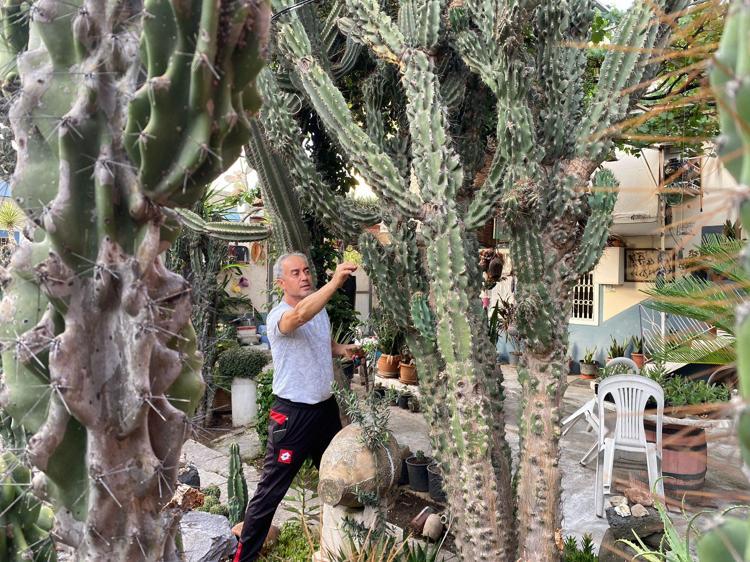 İNSANA MUTLULUK VERİYOR