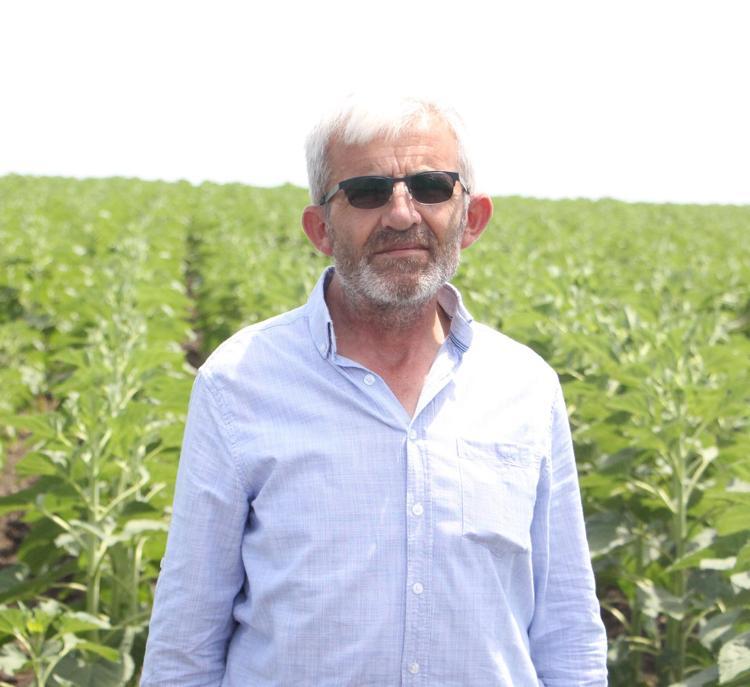 YAPRAKLARI YİYORLAR