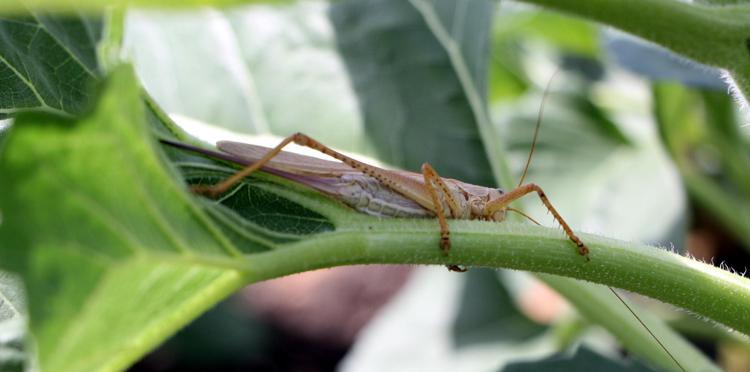 BİR AN ÖNCE ÇÖZÜM BULUNMASI LAZIM