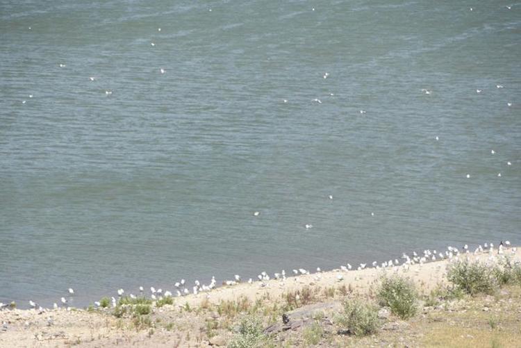 DOĞAL GAZDAN 10 KAT PAHALI