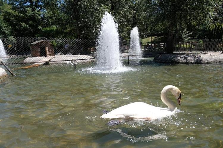 SEVENLERİ BİRLEŞTİRİYORUZ