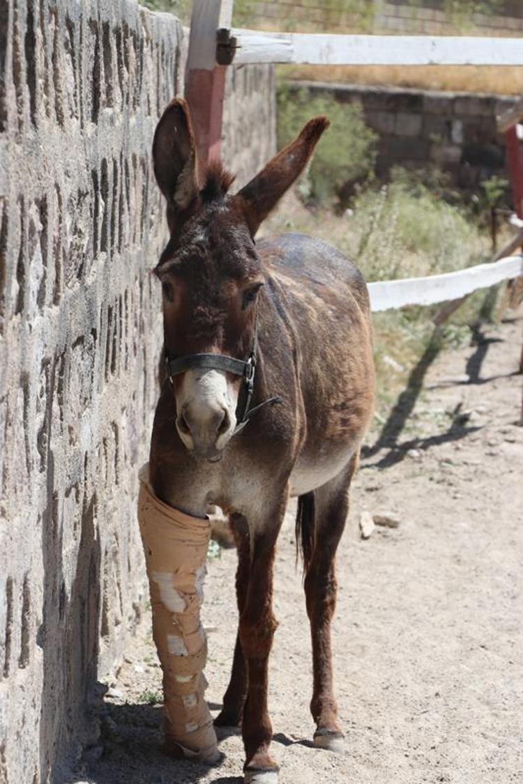 YETKİLİLERE HABER VERMELERİNİ RİCA EDİYORUM