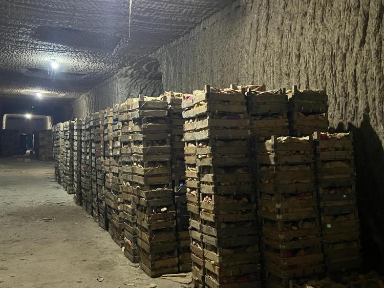 ŞU ANDA FİYATLAR 45-50 TL BANDINDA DEVAM EDİYOR