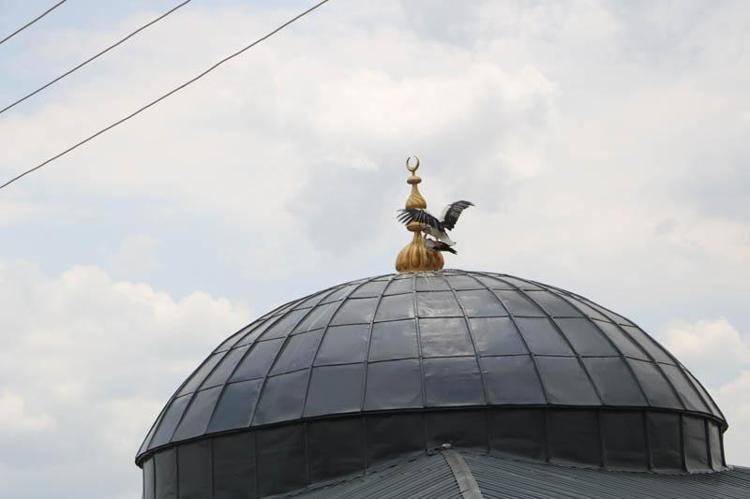 KÖYÜMÜZÜN BİR FERDİ HALİNE GELDİLER