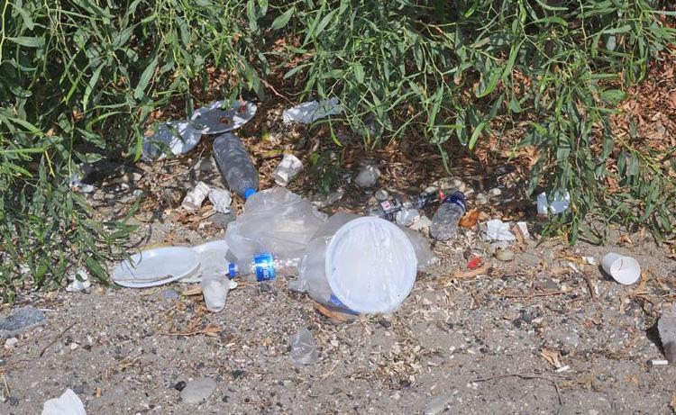 6684fec672241ae5ad098558