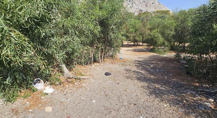 6684fec672241ae5ad09855c