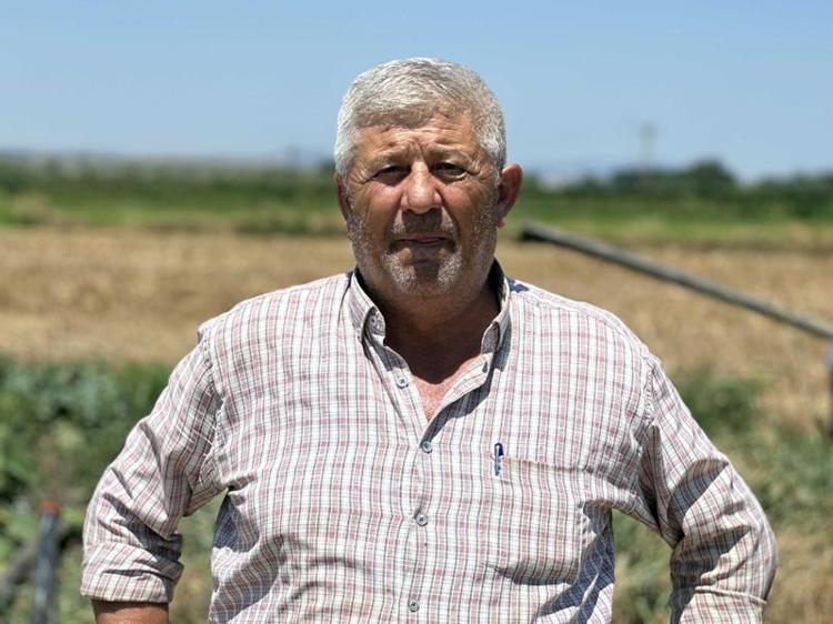 BAZI ARAZİLER BİÇİLMEDEN KALIR