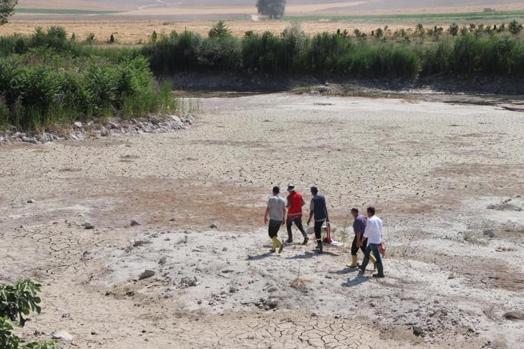 2020 YILINDA DOĞAL KORUMA ALANI İLAN EDİLDİ