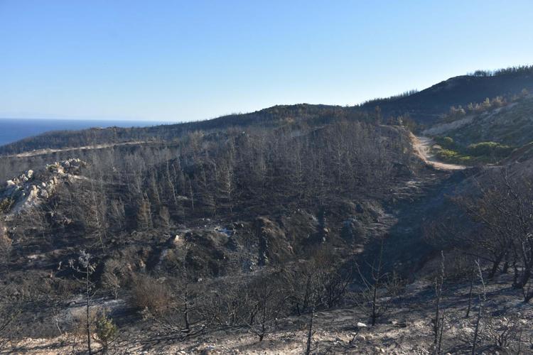 YARDIM ETMEK İSTERKEN ALEVLERİN ARASINDA KALMIŞ