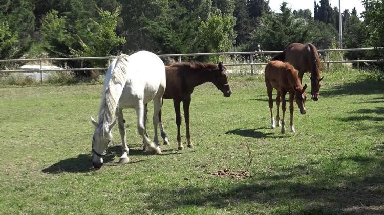 TAYLARIMIZIN SAHADAKİ BAŞARILARIYLA YAŞIYORUZ