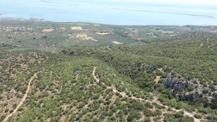 16 İLDE 65 YANGINA MÜDAHALE