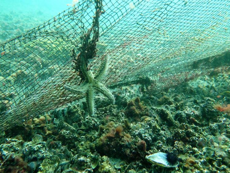 CİDDİ MALİYET GEREKTİRİYOR