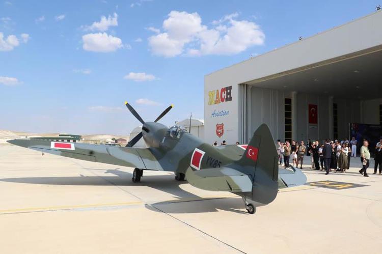 DÜNYADA 27 TANE VAR