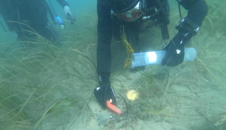 ‘ÖĞRENCİLERİMİZİ SÜREKLİ FİZİKSEL OLARAK BESLEMEK ZORUNDAYIZ’