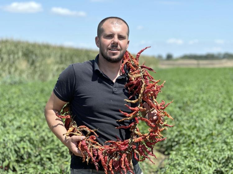 KAVURUCU SICAKLARDAN DOLAYI ÜRÜNÜMÜZ STRESE GİRDİ