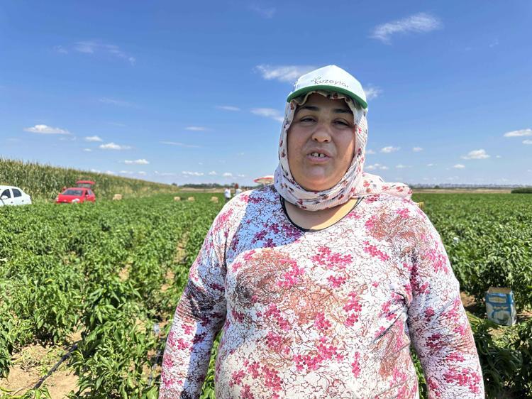 HEM EĞLENİYORUZ, HEM HASAT YAPIYORUZ