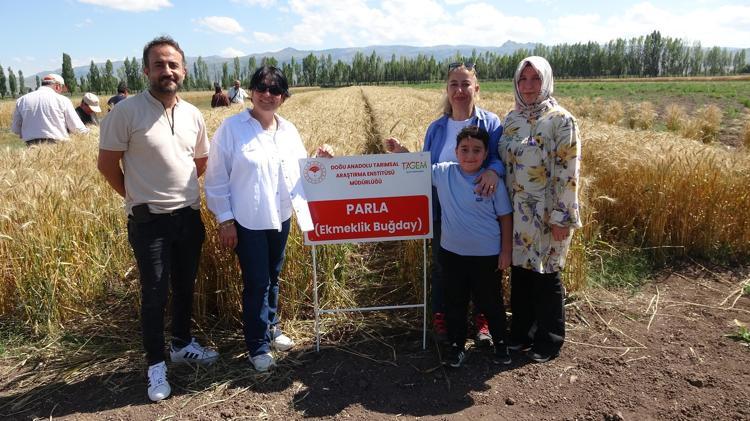 ŞİMDİYE KADAR GÖRDÜĞÜM ÇEŞİTLERİN İÇİNDE EN İYİSİ