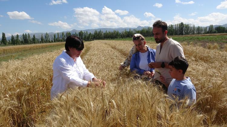 HEM KIŞA HEM KURAKLIĞA DAYALI