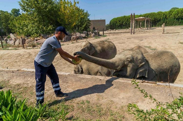 YAZ MEVSİMİNİN EN SEVİLEN MEYVESİNİ İŞTAHLA TÜKETTİLER