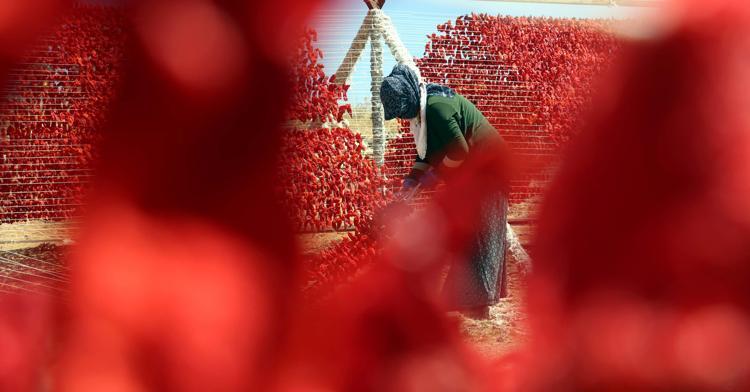 İHRACAT RAKAMLARIMIZ DA ARTIYOR