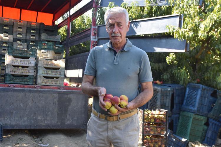 AİLECE HASADA KATILDILAR