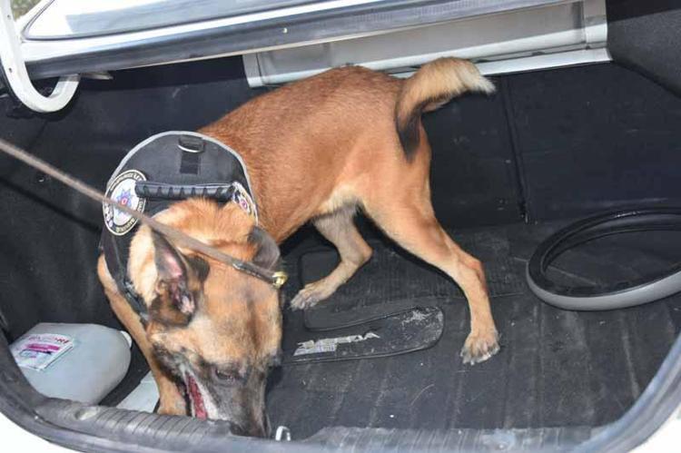 GİZLİ MADDELERİ BULMAK İÇİN KİLİT ROL OYNUYORLAR