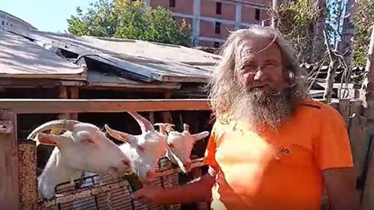 YENİ DOĞAN KEÇİ YAVRUSUNU DÜŞTÜĞÜ DENİZDEN KURTARMIŞ