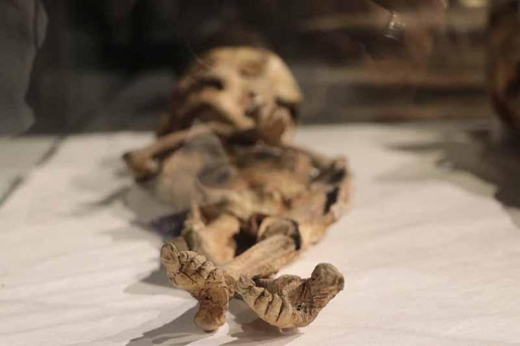 150-200 YILLIK BİR DÖNEMDE BU TÜR ÖRNEKLERİ GÖREBİLMEKTEYİZ