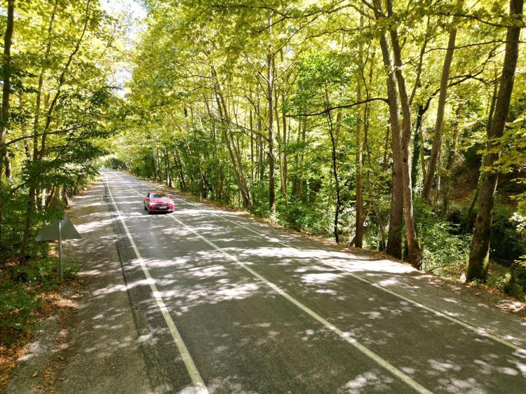 YOLU GÖRENLER ÇOK ŞAŞIRIYOR