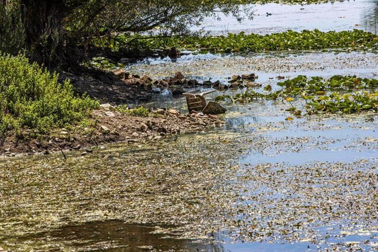 ‘HİDROELEKTRİK SANTRAL, SULARIN YOK OLMASINA NEDEN OLDU’