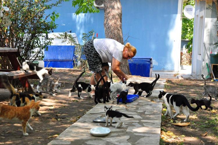 6 AYDAN SONRA KISIRLAŞTIRIYORUZ