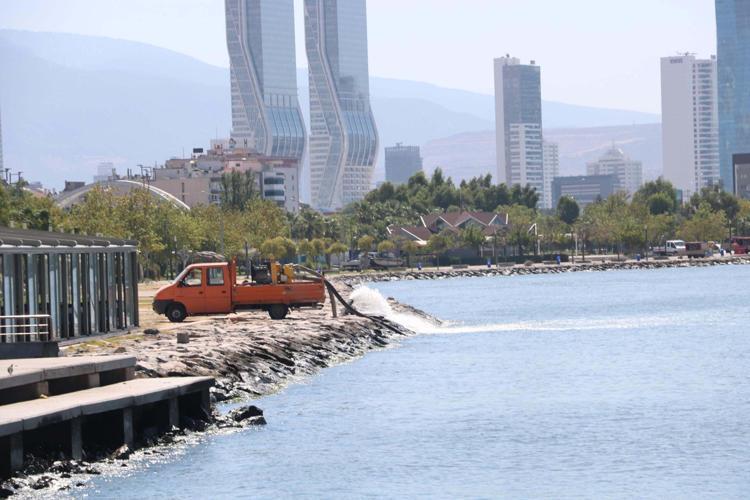 EKONOMİK DEĞERİ ÇOK YÜKSEK OLAN BÜTÜN BALIKLAR BU KÖRFEZDE MEVCUT