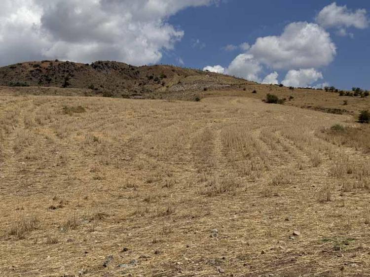 EKİLECEK ÜRÜNÜ BAKANLIK BELİRLEYECEK