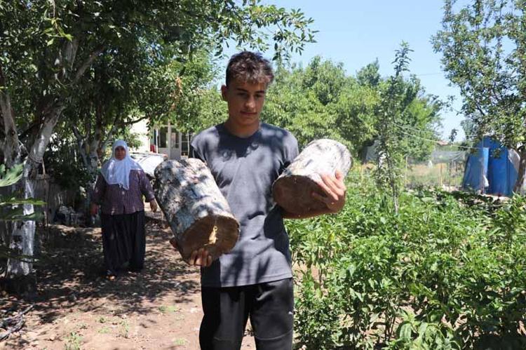 DOĞADA GÜÇ DEPOLUYORUZ