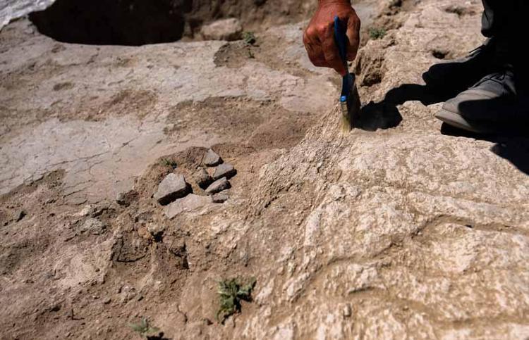 AVCILIKTAN, HAYVAN EVCİLLEŞTİRMEYE GEÇEN SÜRECİ YANSITIYOR