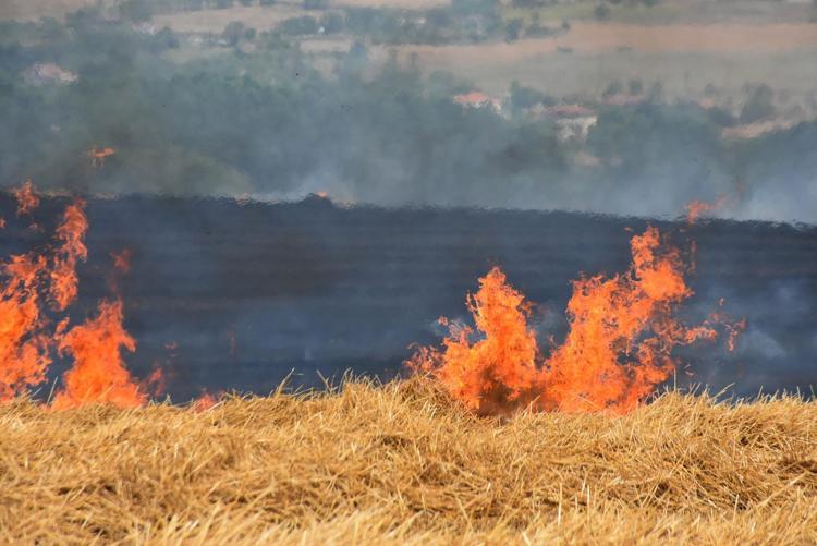 BUĞDAY ALANLARI DA ÖNEMLİ DÜZEYDE ZARAR GÖRDÜ