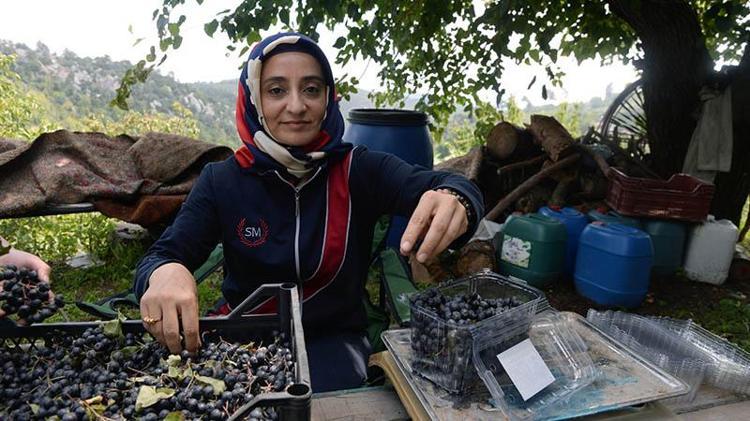 TADI ÇOK FARKLI, FARKLI BİR AROMASI VAR