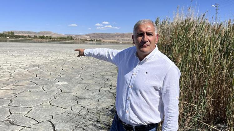 Elmabaş patka ördeklerin mekanı kuruyor; acil su takviyesi gerekiyor