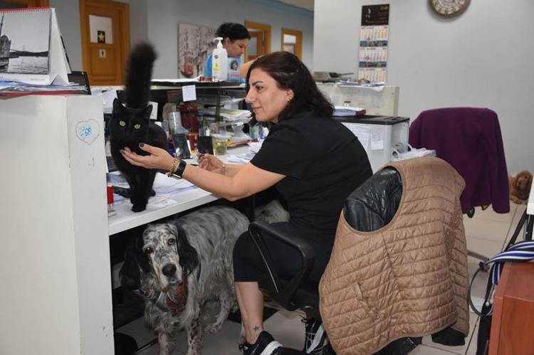 SEVMEYEBİLİRSİN AMA BESLEYENLERE ENGEL OLMA