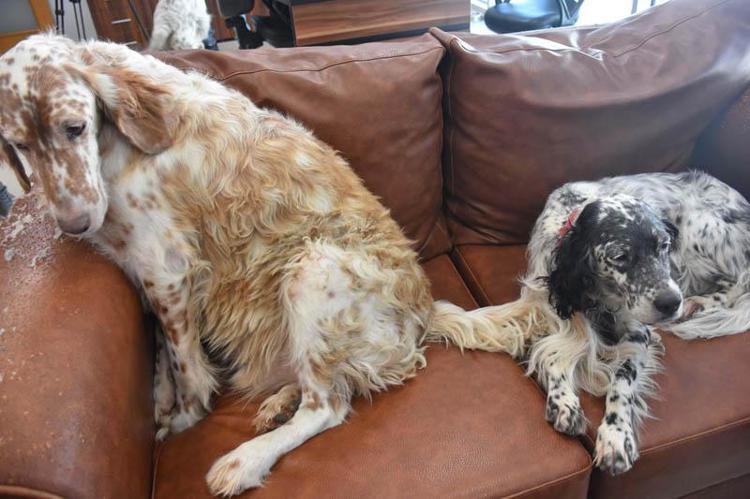 POZİTİF ENERJİ YÜKLÜYORLAR, ÇOK MUTLUYUZ