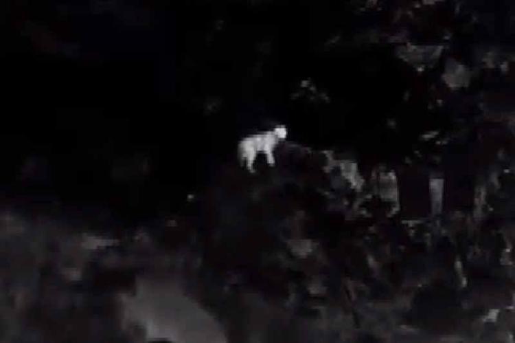 YENİ GÖRÜNTÜ EGE BÖLGESİNDEN