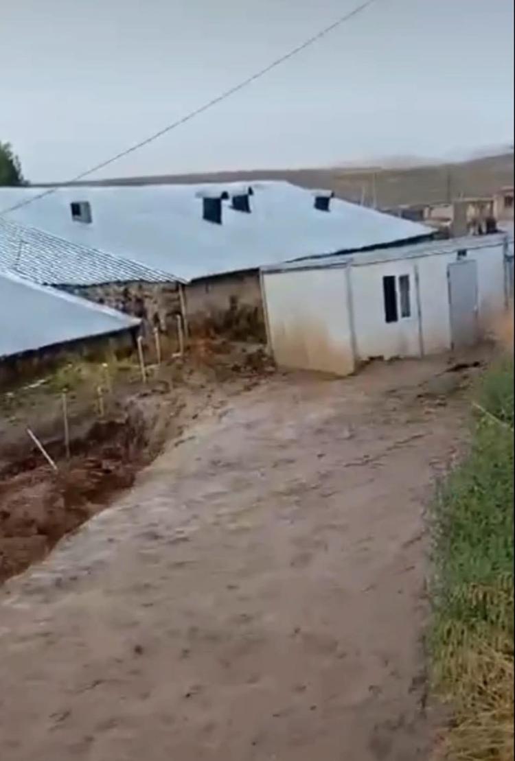 SEL GELİR GELMEZ HEMEN DIŞARI ÇIKMIŞLAR