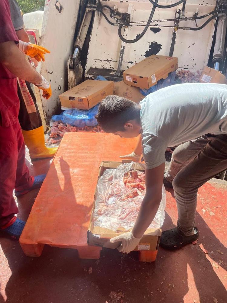 TARİHİ GEÇMİŞ TAVUKLAR