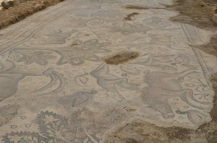 YENİDEN KAZI GEREKEN ALANLAR TESPİT EDERSEK, DEVAM EDECEĞİZ