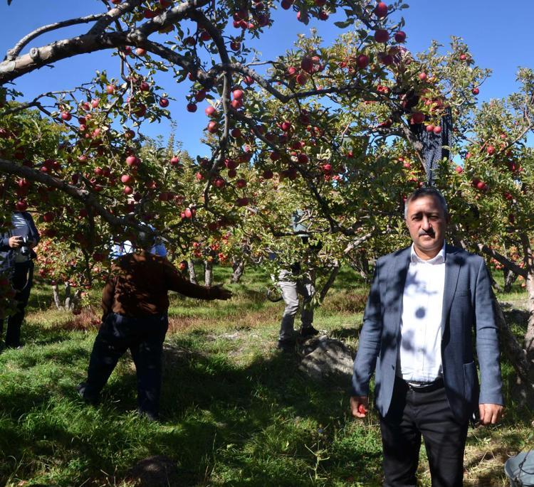 ELMA ÜRETİMİNDE İDDİALI BİR İLİZ