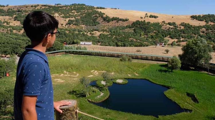 ‘HERKESİN GÖRMESİNİ TAVSİYE EDİYORUM’