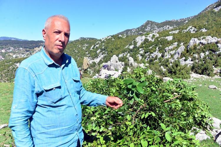 “GÜNLÜK 2 BİN LİRA KAZANIYORUZ”